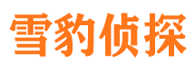 泾川外遇调查取证